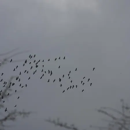 Les Sources De La Nive 호텔 Esterençuby