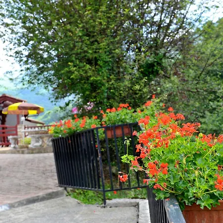 Les Sources De La Nive Esterençuby