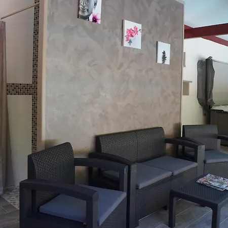 酒店 Logis Les Sources De La Nive 3*
