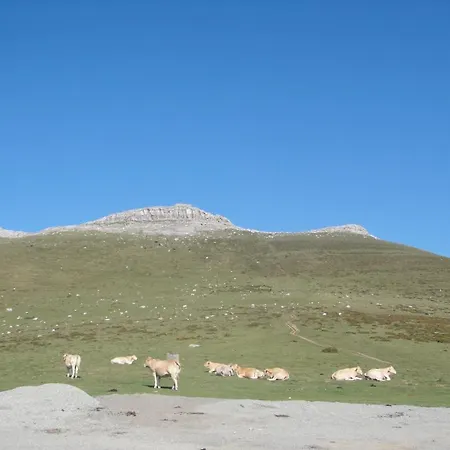 Les Sources De La Nive