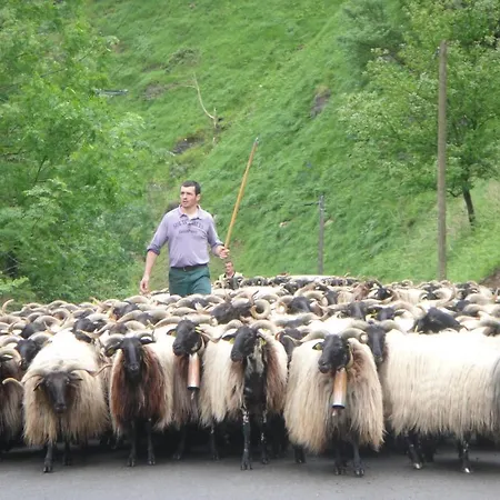 호텔 Les Sources De La Nive 3*