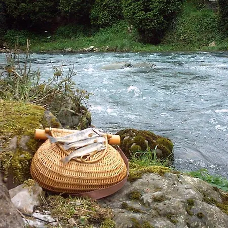 Les Sources De La Nive Esterençuby