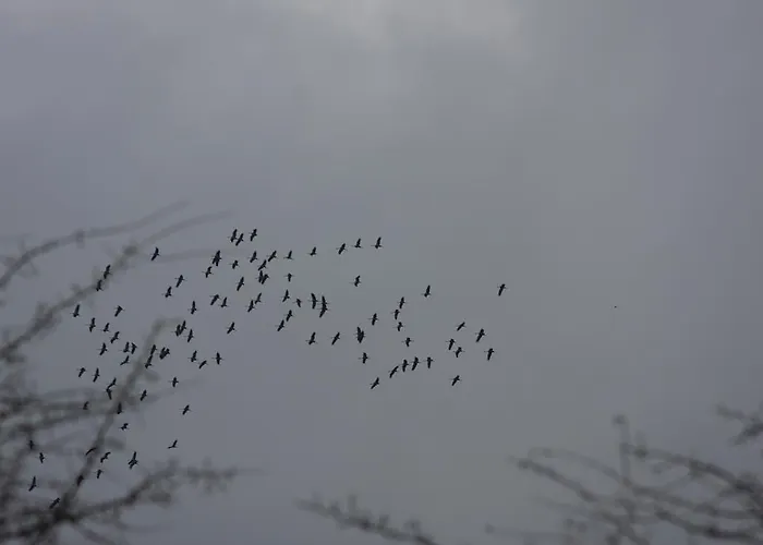 Les Sources De La Nive Hotel Esterençuby