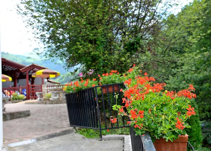 Les Sources De La Nive Esterençuby