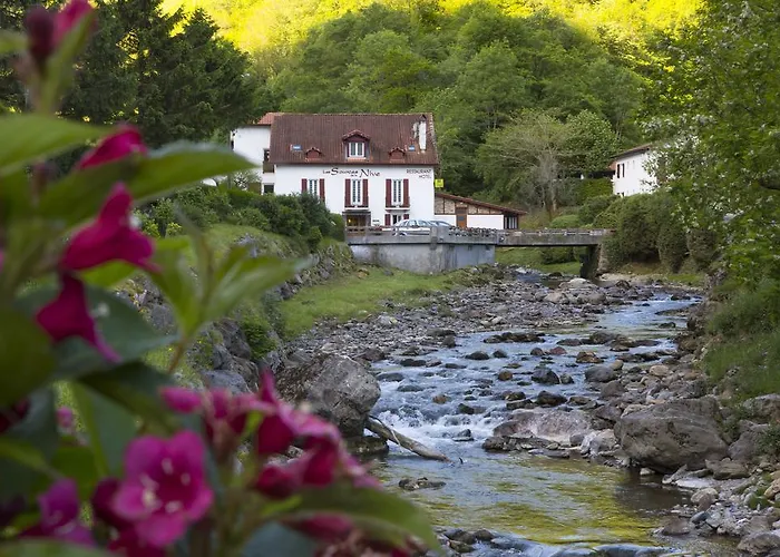 Les Sources De La Nive Hotel