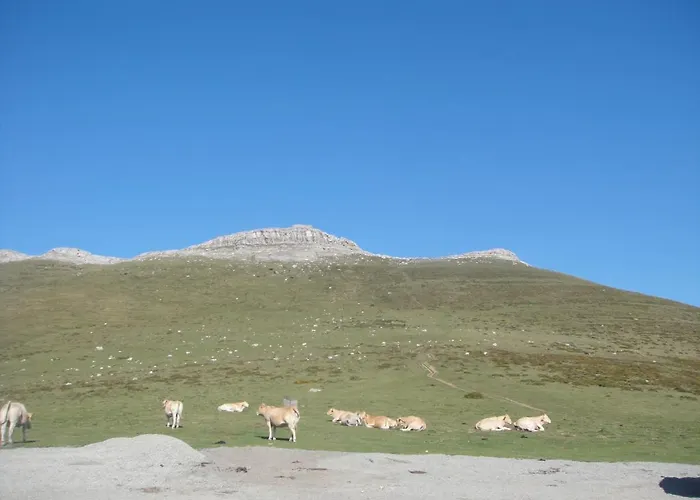 Les Sources De La Nive