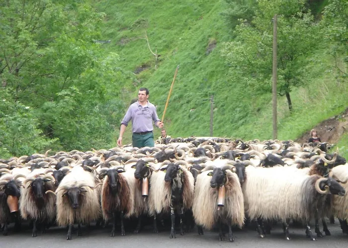 Hotel Les Sources De La Nive 3*