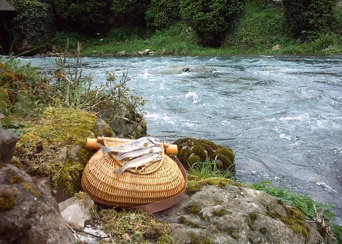 Les Sources De La Nive Esterençuby